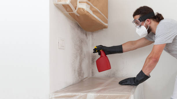 Professional Mold Remediation technician working in Haslett, MI